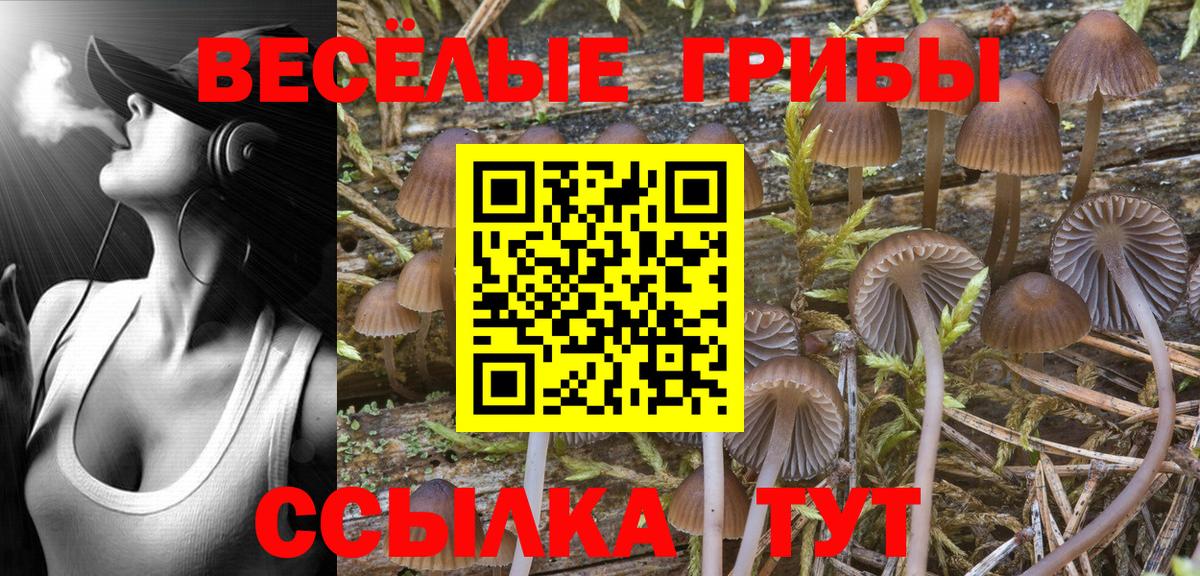 Галлюциногенные грибы ЛСД  хочу наркоту  Кулебаки  Вход с VPN 